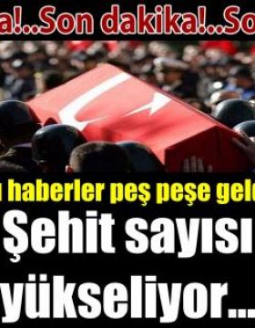 Acı haberler peş peşe geliyor! Şehit sayımız yükseldi