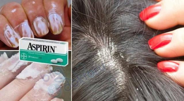 İşte Zehra'nın Kazandığı Okul!