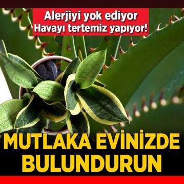 İşte Zehra'nın Kazandığı Okul!