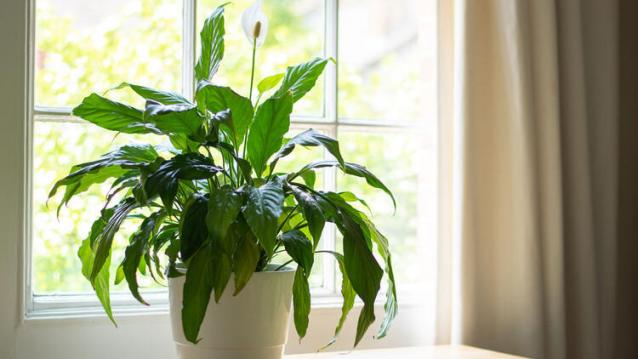 İşte Zehra'nın Kazandığı Okul!