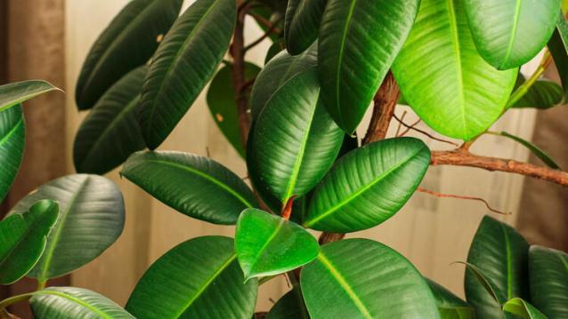 İşte Zehra'nın Kazandığı Okul!