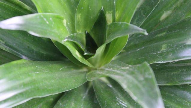 İşte Zehra'nın Kazandığı Okul!