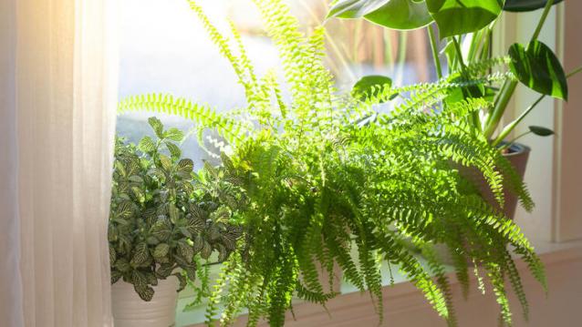 İşte Zehra'nın Kazandığı Okul!