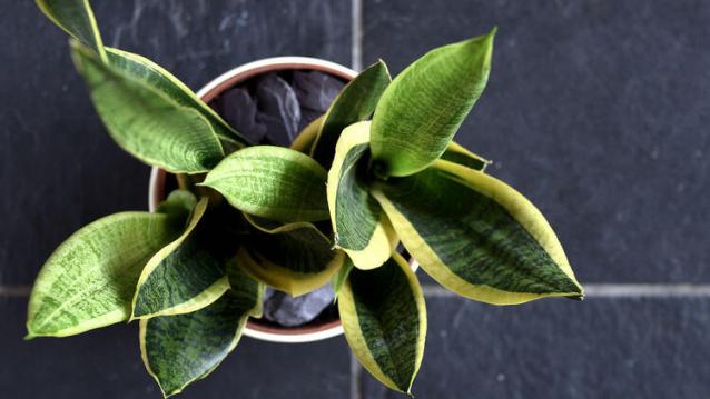 İşte Zehra'nın Kazandığı Okul!