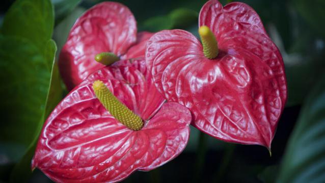 İşte Zehra'nın Kazandığı Okul!