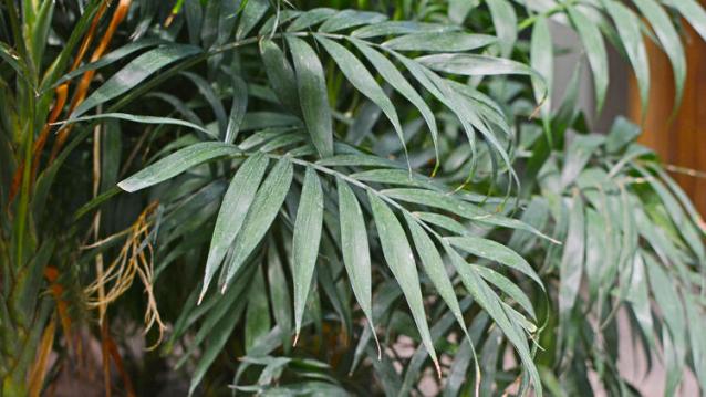 İşte Zehra'nın Kazandığı Okul!