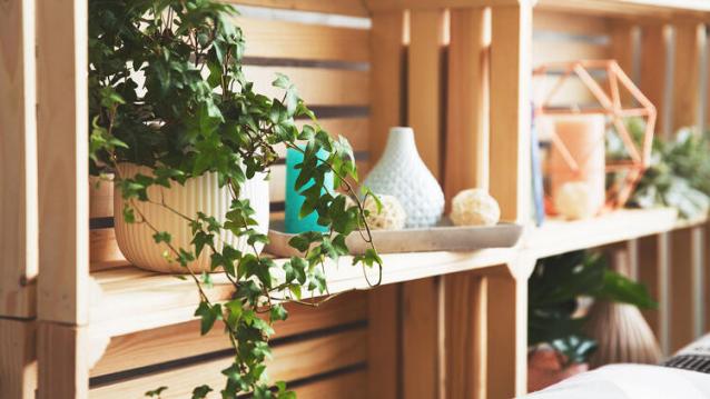 İşte Zehra'nın Kazandığı Okul!