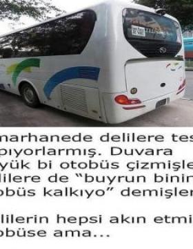 Buyurun binin demişler. Herkes akın etmiiş amaa..