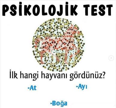 İşte Zehra'nın Kazandığı Okul!