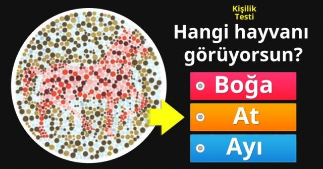 İşte Zehra'nın Kazandığı Okul!