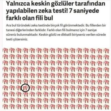 İşte Zehra'nın Kazandığı Okul!