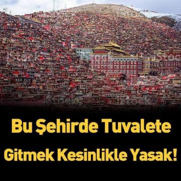 İşte Zehra'nın Kazandığı Okul!