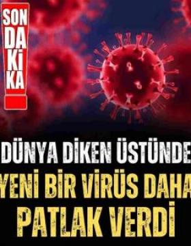 Pandemi Nedeniyle Yeniden Kapanma Tehlikesi