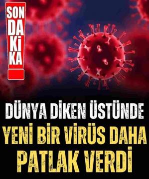 İşte Zehra'nın Kazandığı Okul!