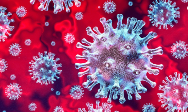 İşte Zehra'nın Kazandığı Okul!