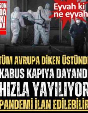 AB ülkelerinde hızla yayılıyor! Vakalardaki artış sonrası ECDC'den uyarı