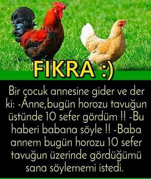 İşte Zehra'nın Kazandığı Okul!