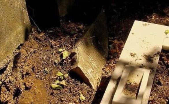 İşte Zehra'nın Kazandığı Okul!