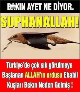 İşte Zehra'nın Kazandığı Okul!