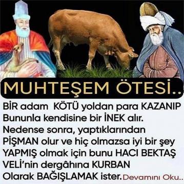 İşte Zehra'nın Kazandığı Okul!