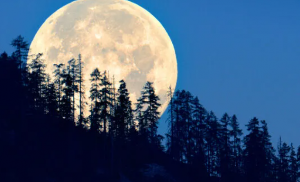 İşte Zehra'nın Kazandığı Okul!