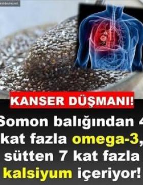 Tam Bir Kanser Düşmanı!