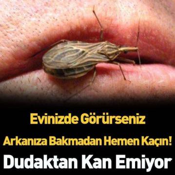 İşte Zehra'nın Kazandığı Okul!