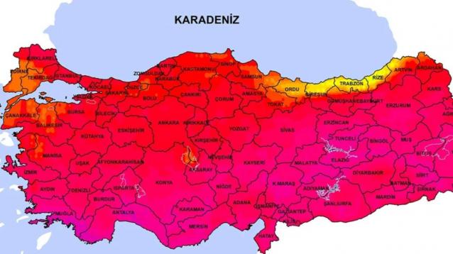 İşte Zehra'nın Kazandığı Okul!