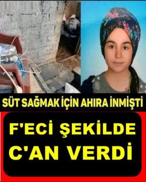 İşte Zehra'nın Kazandığı Okul!