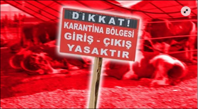 İşte Zehra'nın Kazandığı Okul!