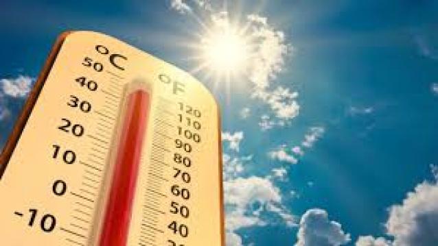 İşte Zehra'nın Kazandığı Okul!