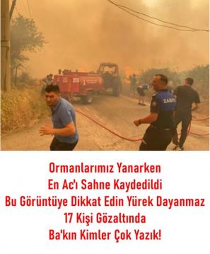İşte Zehra'nın Kazandığı Okul!