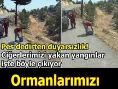 Ormanlarımızı Yakan Kişi