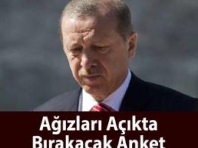 Anket Sonucu