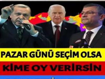 anket sonucu