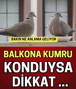 İşte Zehra'nın Kazandığı Okul!