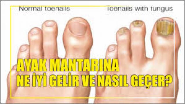 İşte Zehra'nın Kazandığı Okul!