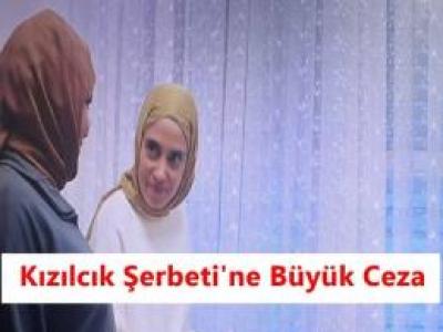 Kızılcık Şerbeti Dizisi