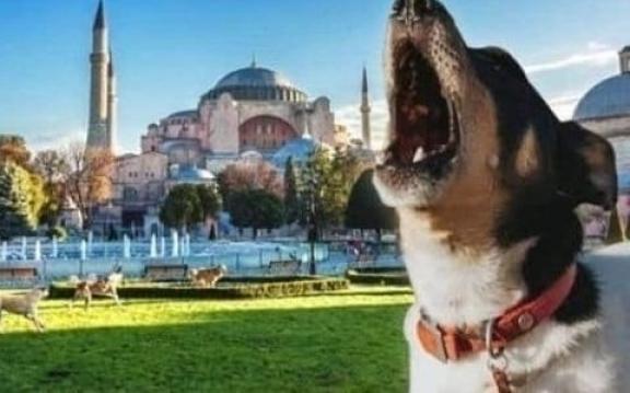 İşte Zehra'nın Kazandığı Okul!