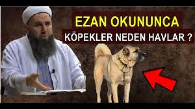 İşte Zehra'nın Kazandığı Okul!
