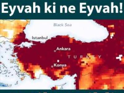 uzmandan tarihi 