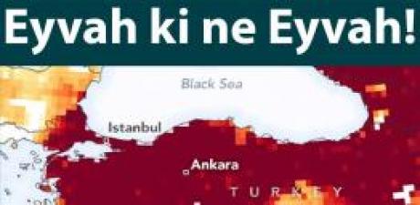 uzmandan tarihi 