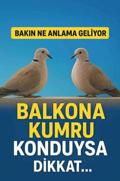 İşte Zehra'nın Kazandığı Okul!