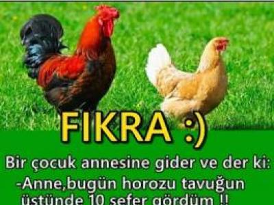 Horoz İle Tavuk Kadın