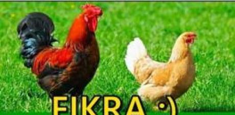 Horoz İle Tavuk Kadın