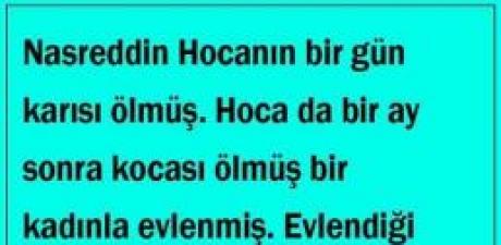Nasreddin Hocanın bir gün