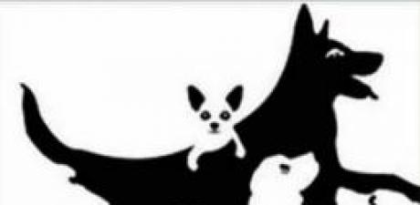 Kaç Köpek Görüyorsunuz? Cevabınız Zihin Yaşınızı Ortaya Çıkartacak