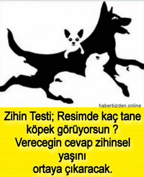 İşte Zehra'nın Kazandığı Okul!