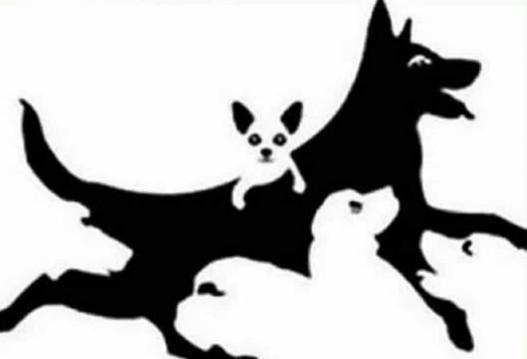 İşte Zehra'nın Kazandığı Okul!