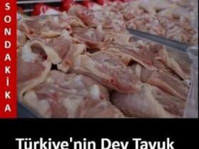 Sakın almayın bakteri tespit edildi..